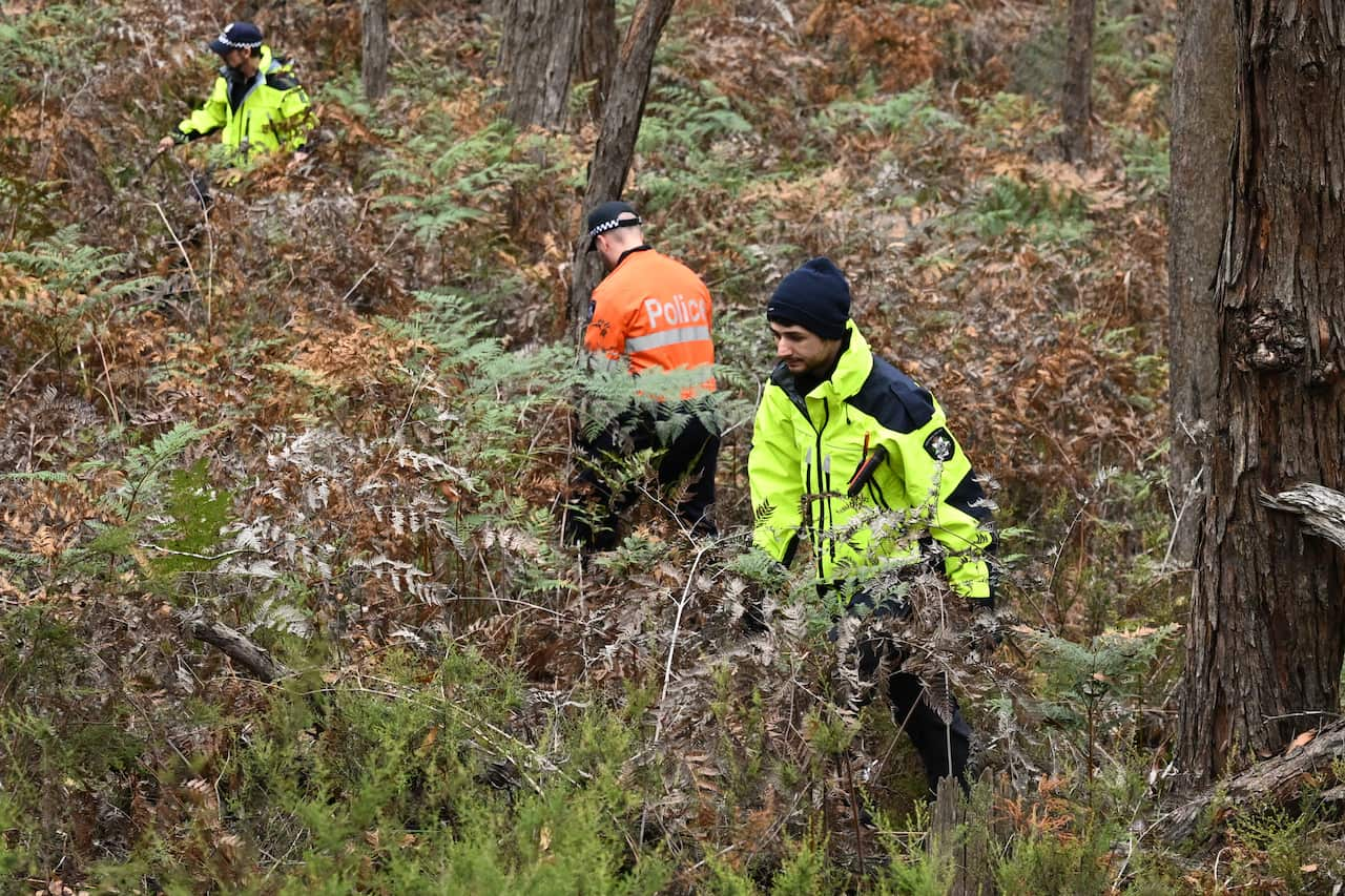 Two people searching in bushland.