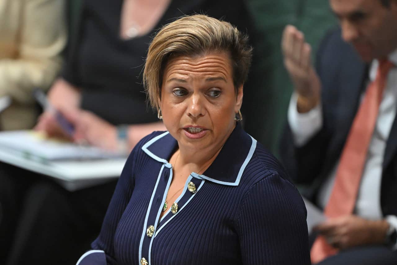 A woman with short blonde hair, wearing a two-toned blue collared top with silver buttons, speaks in parliament 