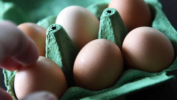 Shoppers urged to avoid panic as bird flu outbreak affects eggs image