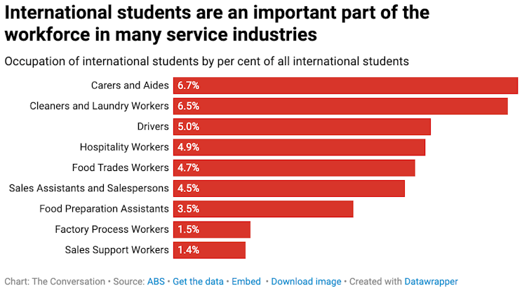 A graph showing the breakdown of roles undertaken by international students in Australia 