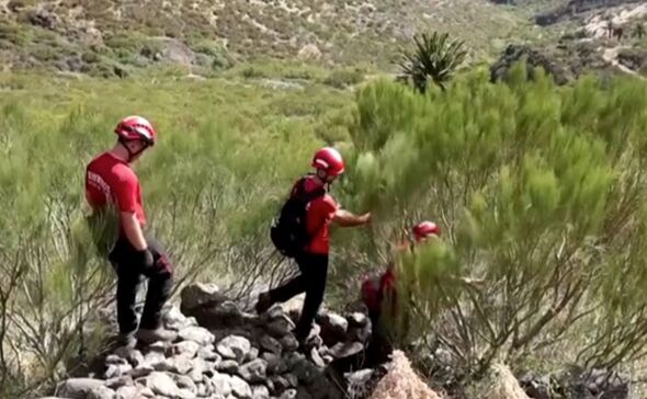 Members of the search party scouring the area