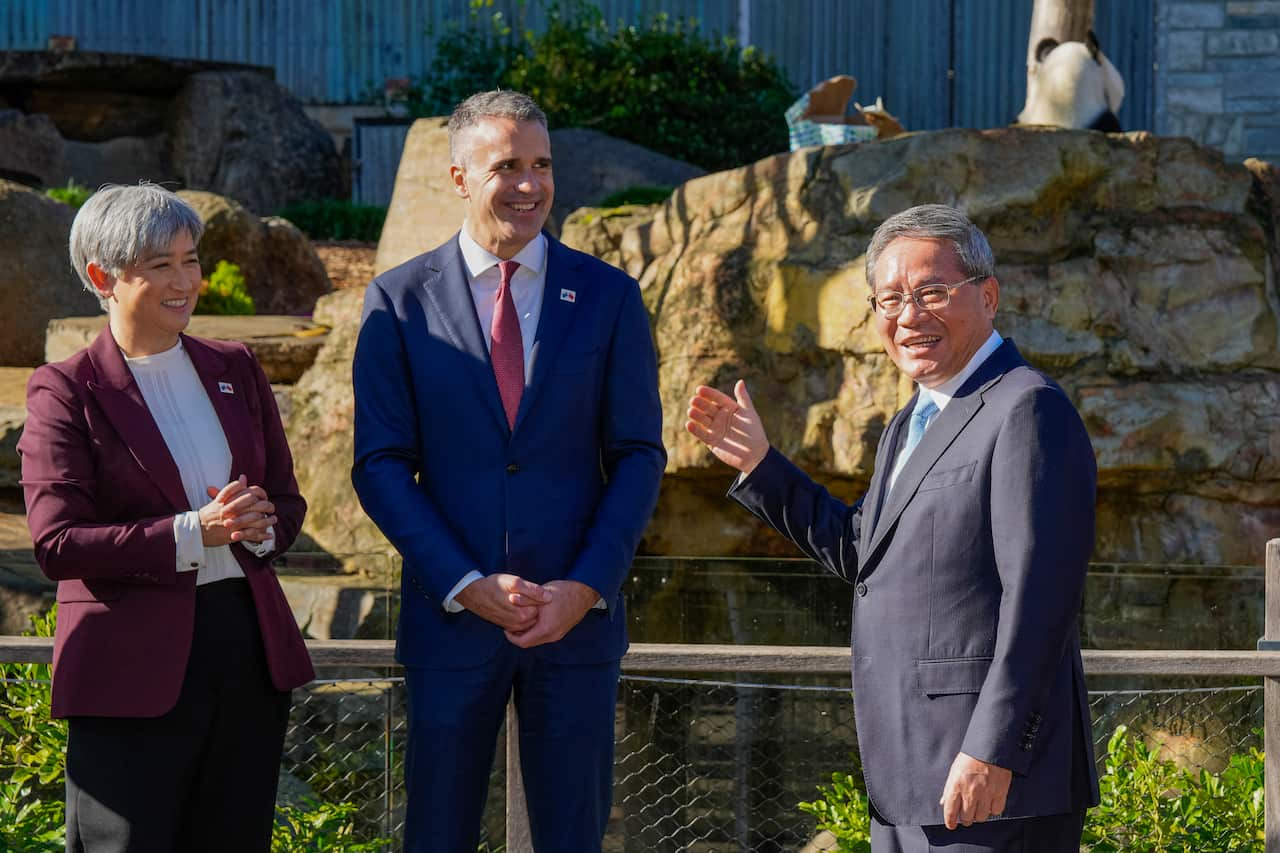 A woman in a burgundy suit, a man in a blue suit and another man in a black suit at a zoo enclosure