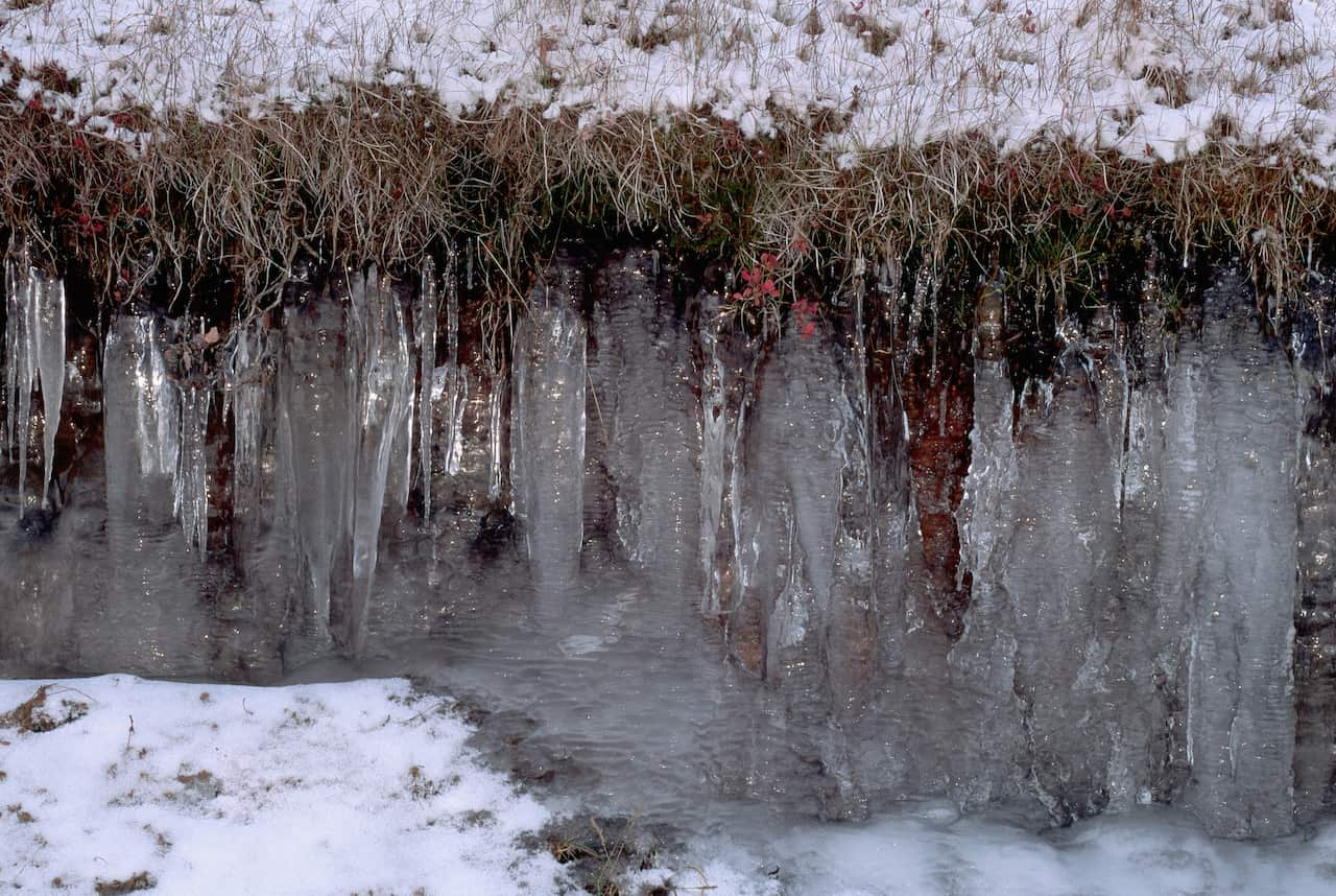 A thin layer of soil with solid ice below.