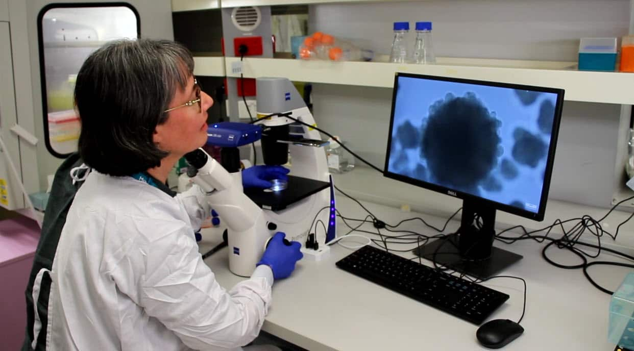 Researchers at the Murdoch Children’s Research Institute (MCRI) have created blood stem cells in the lab that closely resemble those in the human body.