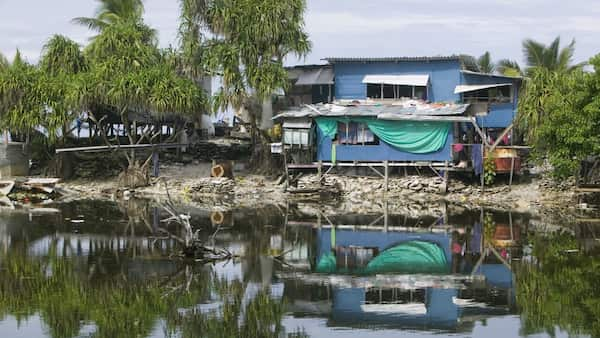 World Bank head sees climate change devastation in Tuvalu image