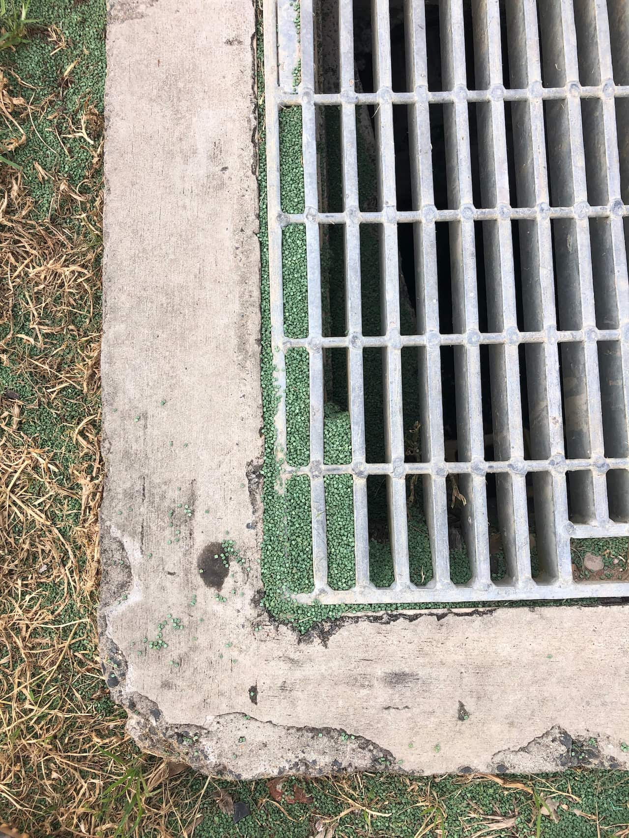 Small green pellets accumulated around a drain grate.