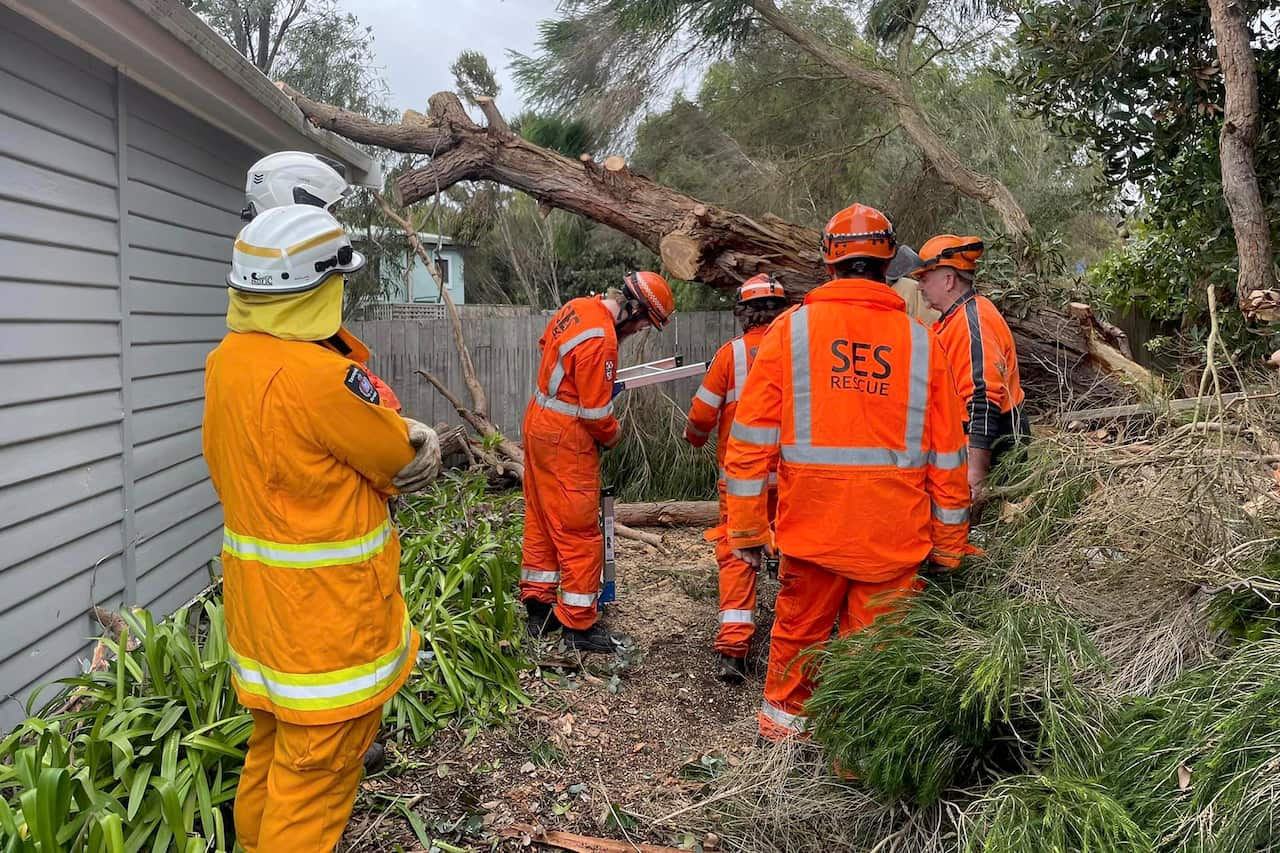 A group of emergency services workers in orange and yellow uniforms inspecting a fallen tree.