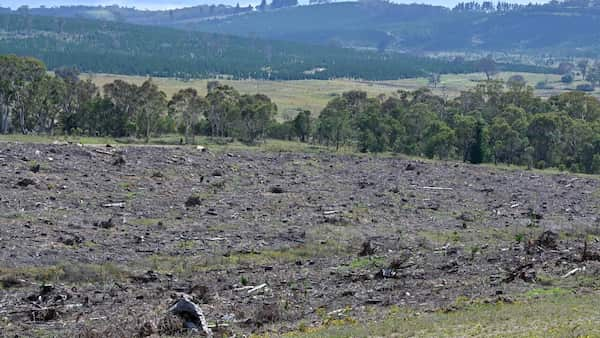 Industry and activists rally to tackle biodiversity crisis image