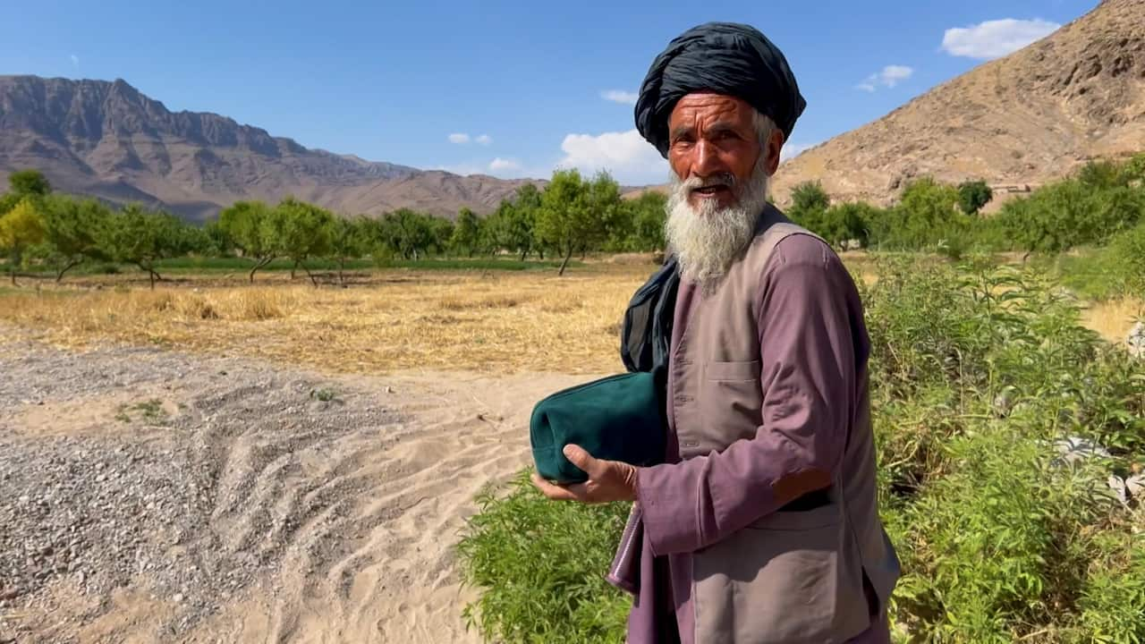 An old man in purple clothes, with a white beard and green turban stands before a sandy plain and mountains in the distance. 