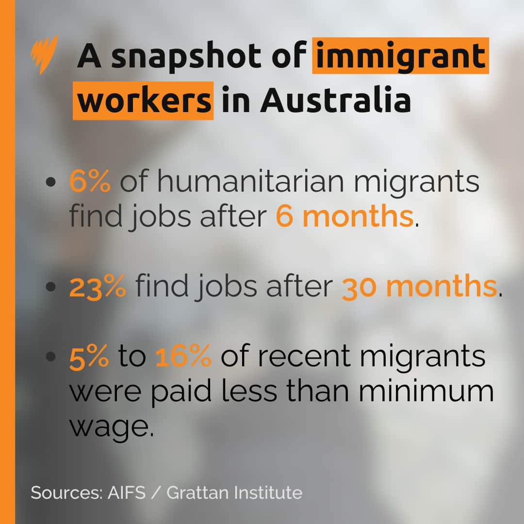 Refugee workers.png