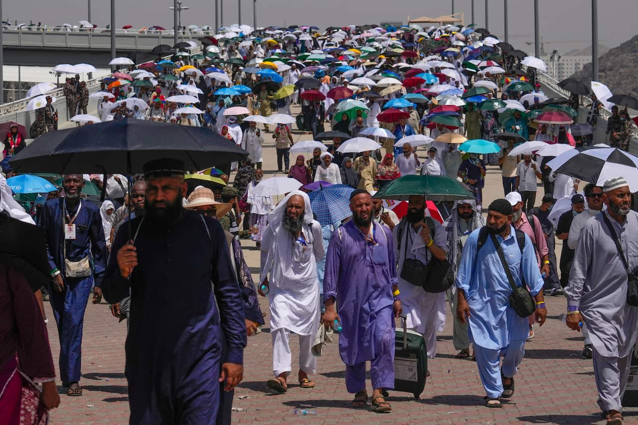 A large group of people walking along a road. Many of them are holding up umbrellas to shield them from the sun.