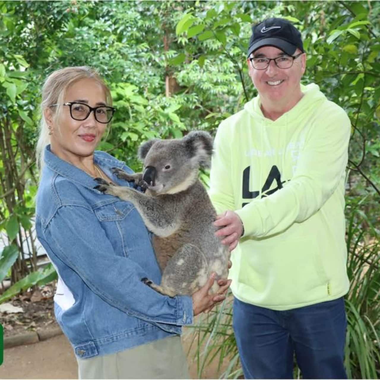 A woman and a man holding a koala. 