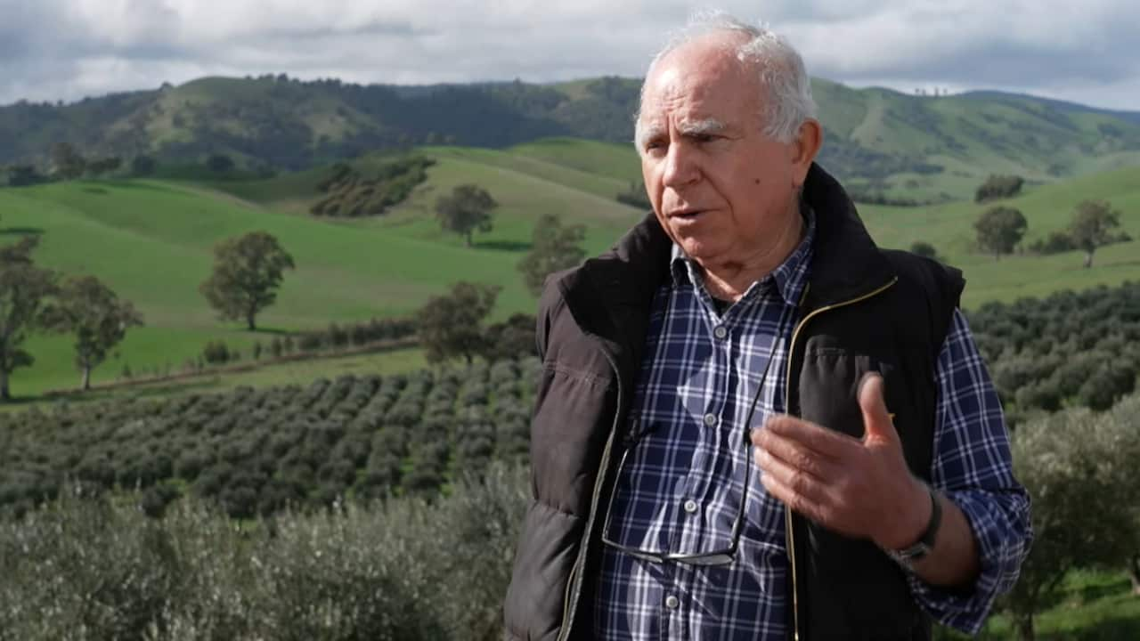 Umberto Frattali produces extra-virgin olive oil out of Yae, Victoria,