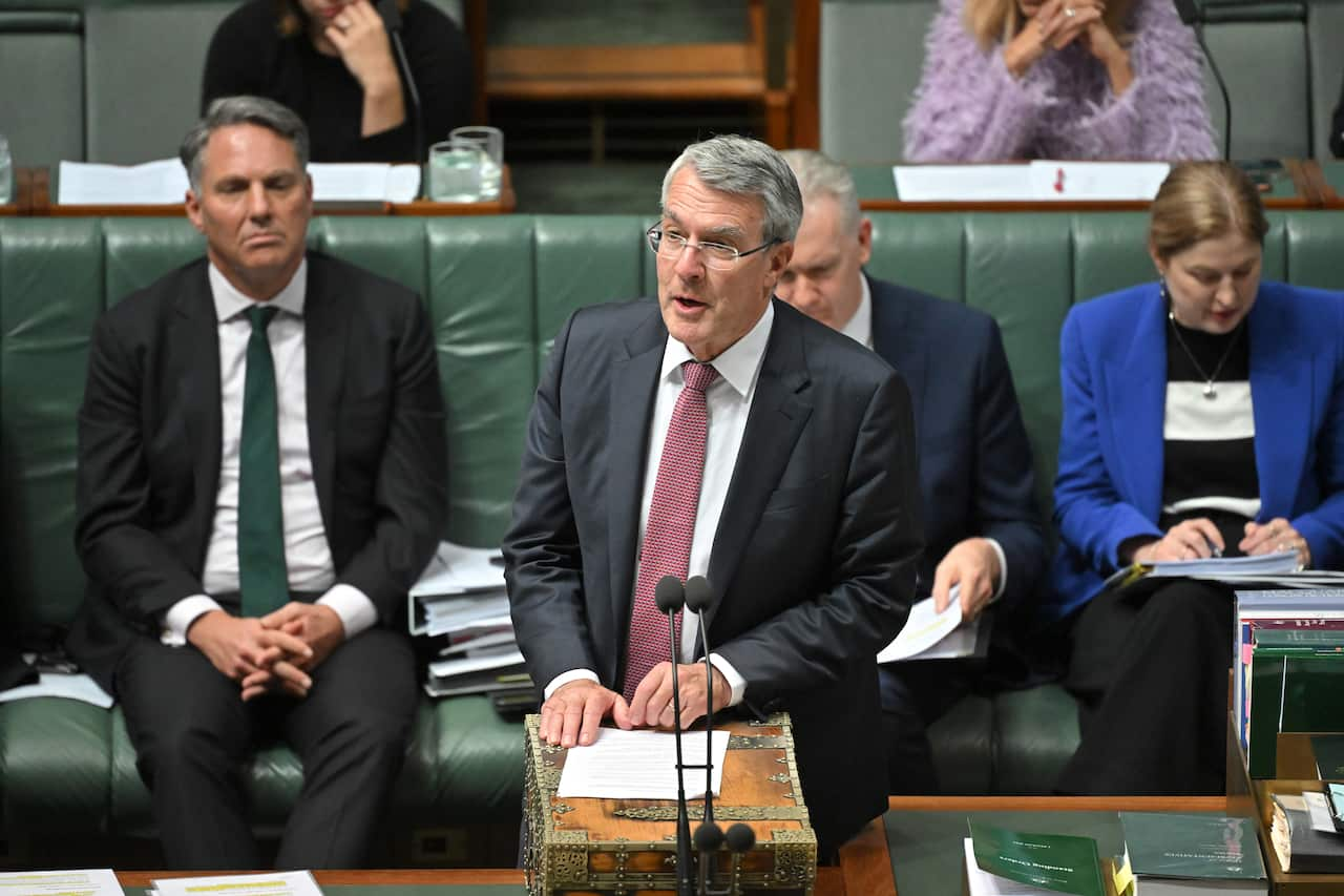 Mark Dreyfus wearing a suit and talking in parliament