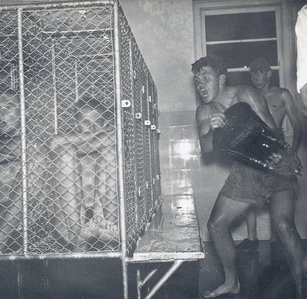 A black-and-white image of shirtless young men in wire cages. A man stands on the right, his mouth open in a scream and aiming a bucket at the cage