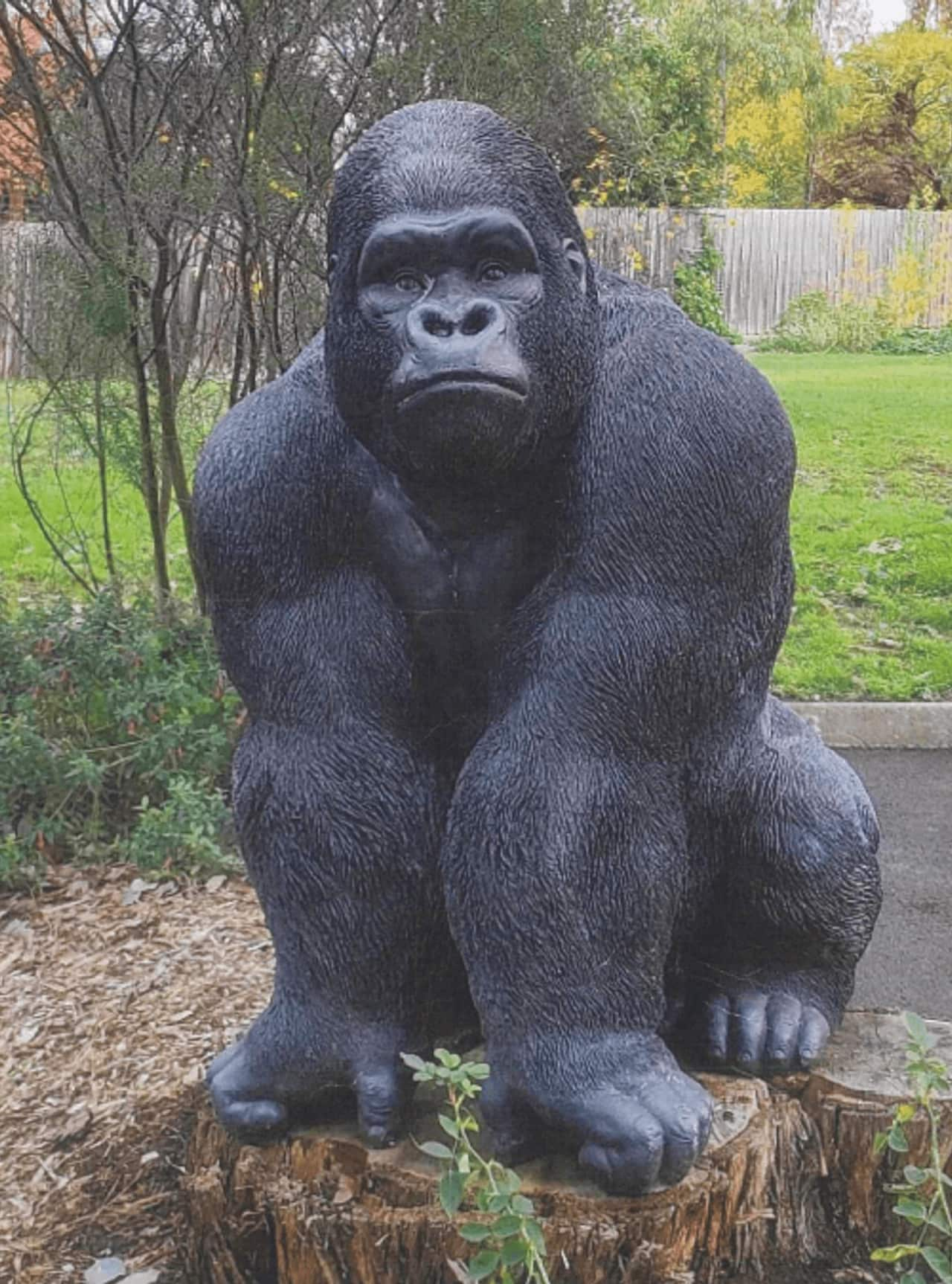 A large gorilla statue.