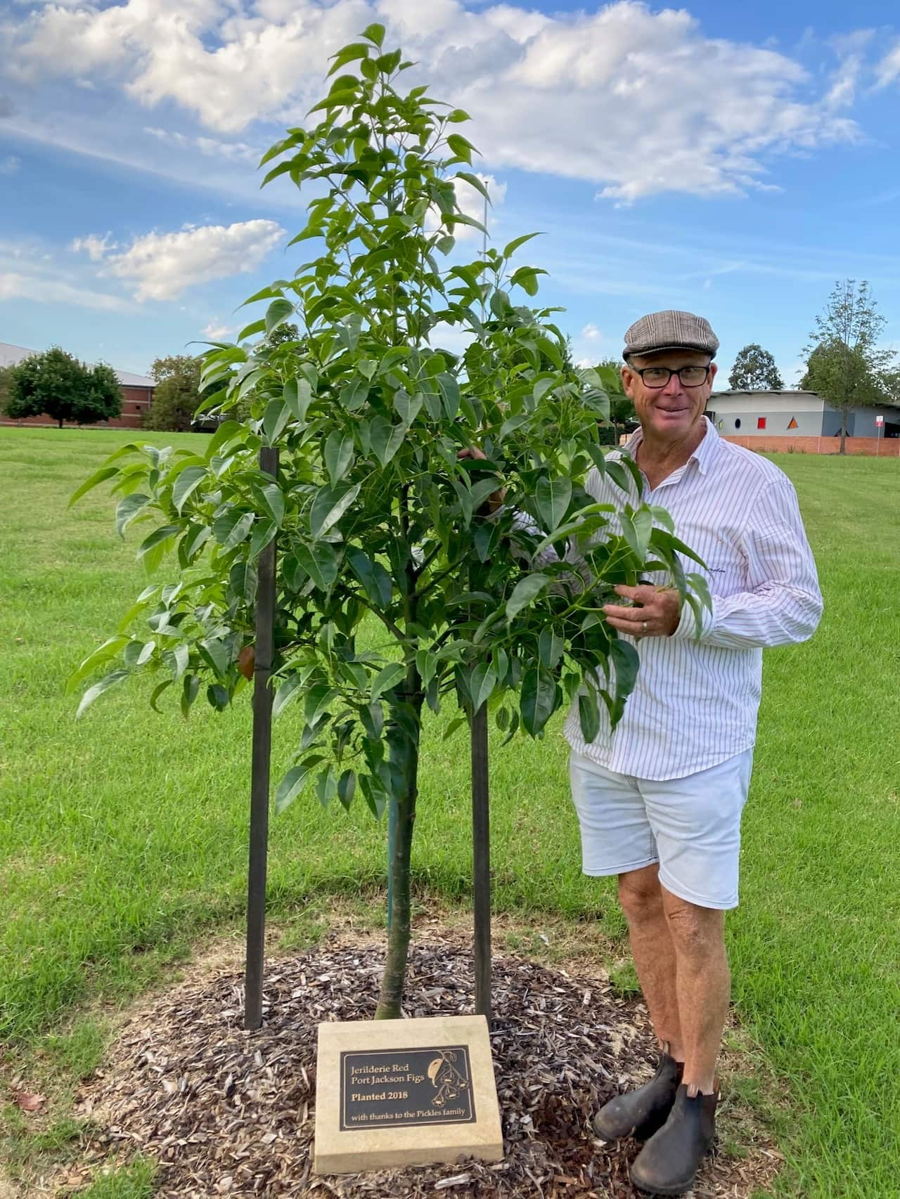 A man with a tree and plaque